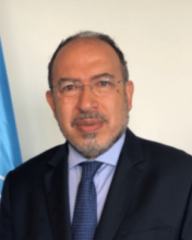 Dr. Tawfik Jelassi